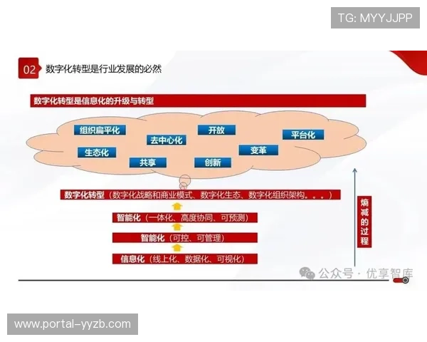 由于跨平台联动协议的深度优化 体育数字资产体系在现阶段达成商业生态扩容